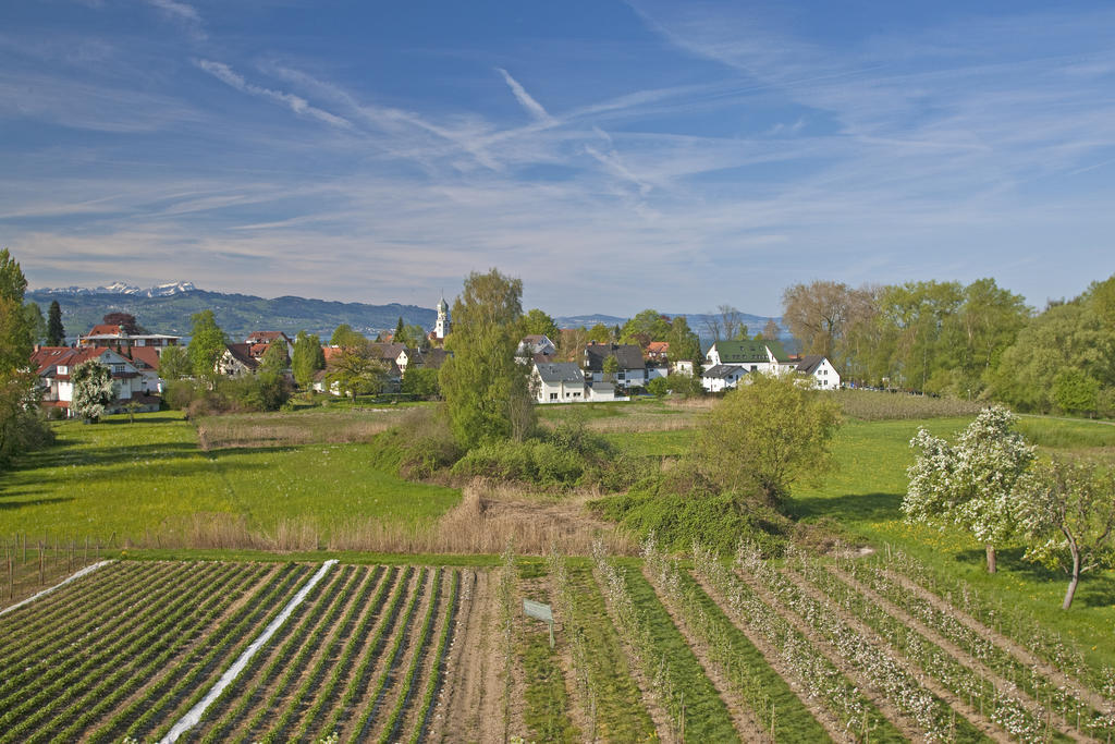 Hotel-Restaurant Walserhof Wasserburg Eksteriør bilde